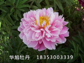 晴空萬里